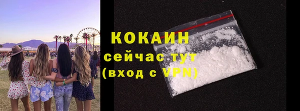 apvp Каменногорск