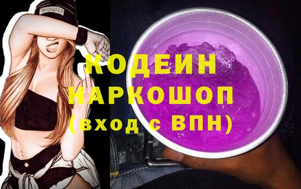 apvp Каменногорск