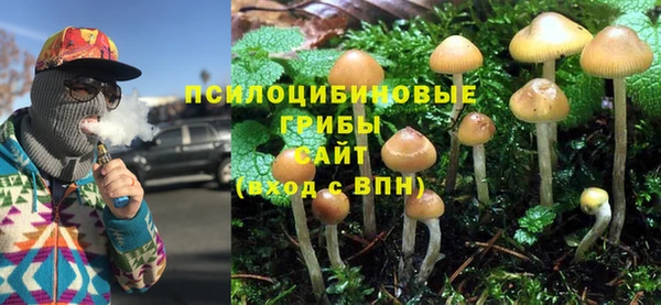 apvp Каменногорск
